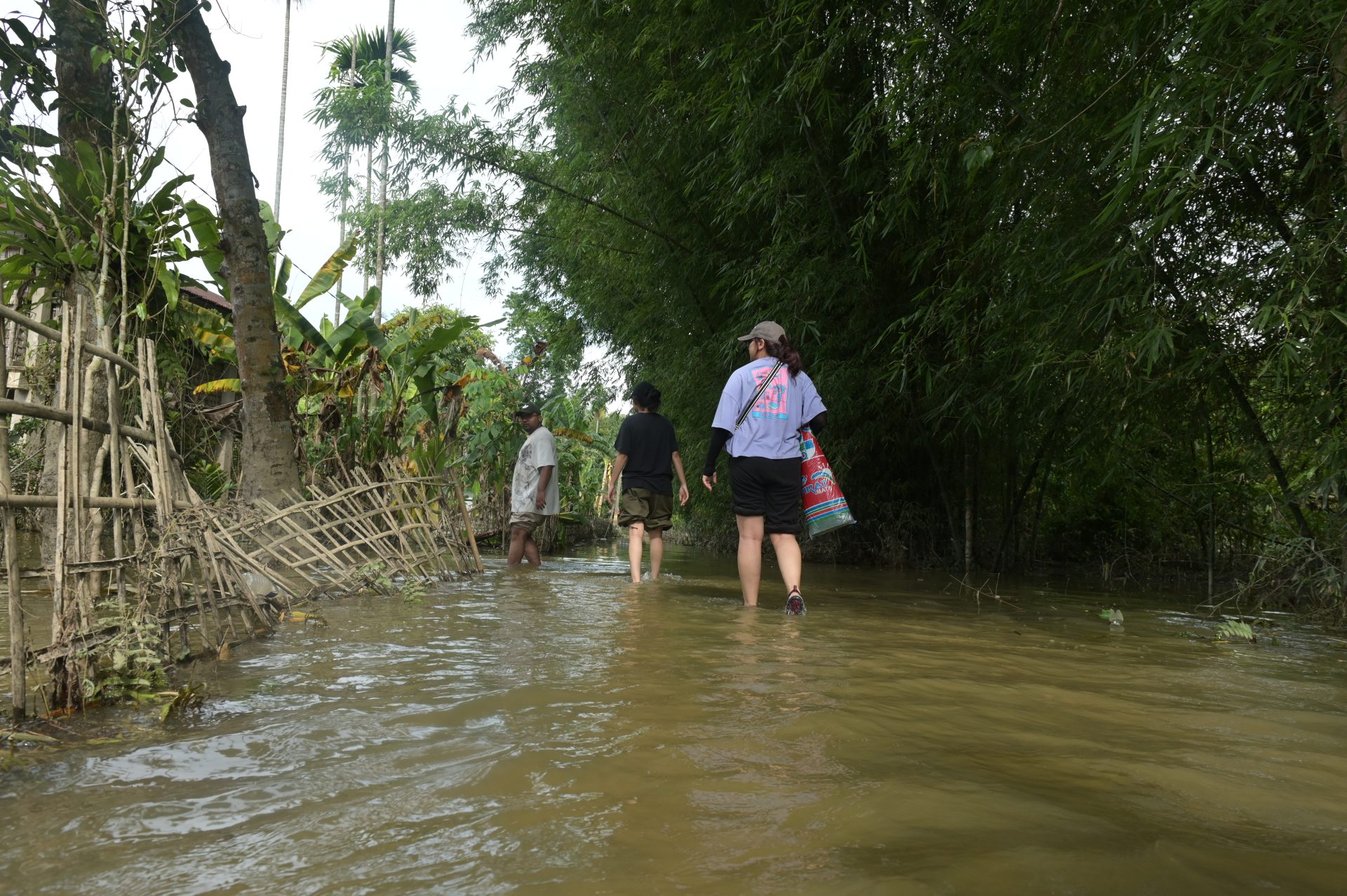 NZ6_5376.JPG